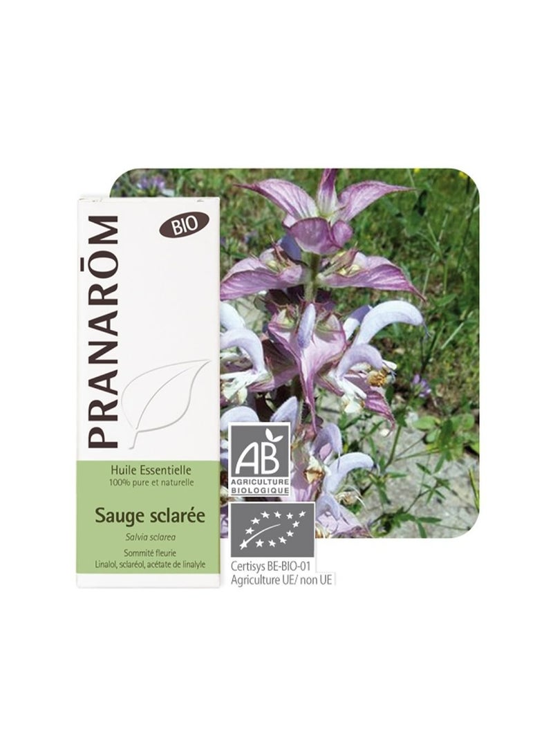 PRANAROM Pranarôm Bio Essential Oil Clary Sage (Salvia sclarea) 5 ml - Image 2